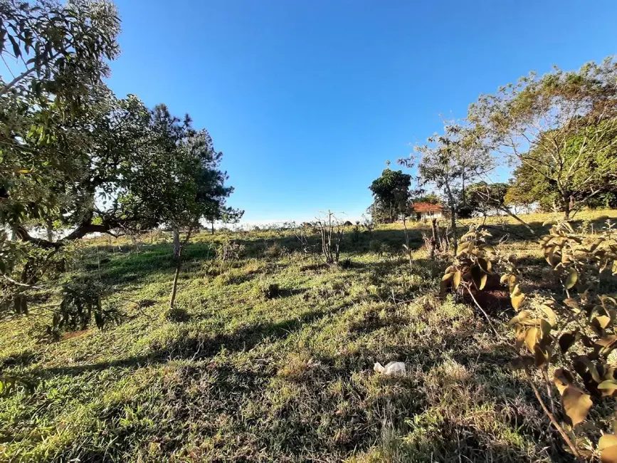Terreno / Lote à venda, 87190m2 em Jardim Monte Santo, Itapetininga - SP - imagem 3 Foto 3 de Terreno / Lote à venda, 87190m2 em Jardim Monte Santo, Itapetininga - SP