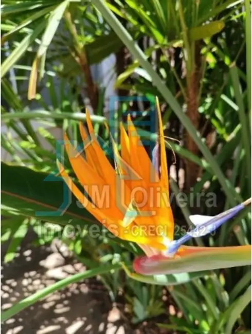 Foto 6 de Casa com 3 quartos à venda, 236m2 em Jardim Marabá, Itapetininga - SP