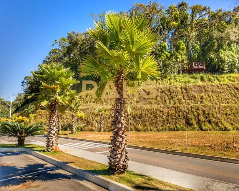 Terreno / Lote à venda em Araquari - SC - imagem 7 Foto 7 de Terreno / Lote à venda em Araquari - SC