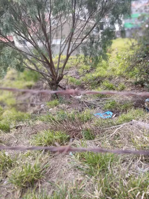 Foto 4 de Terreno / Lote à venda em Jardim Coronel Peroba, Itatiba - SP