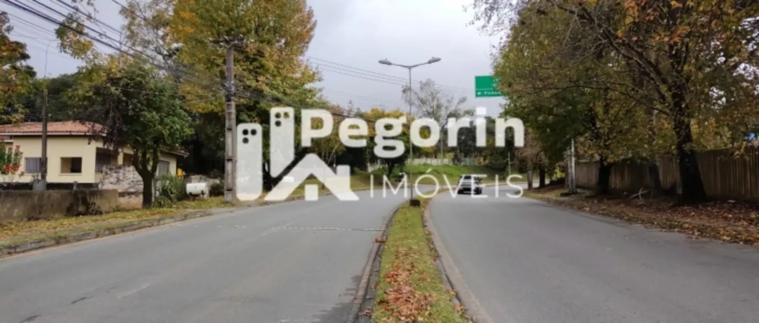 Foto 6 de Terreno / Lote à venda, 6325m2 em Jardim Cláudia, Pinhais - PR