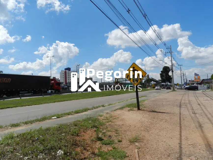 Terreno / Lote à venda, 10412m2 em Eucaliptos, Fazenda Rio Grande - PR - imagem 7 Foto 7 de Terreno / Lote à venda, 10412m2 em Eucaliptos, Fazenda Rio Grande - PR