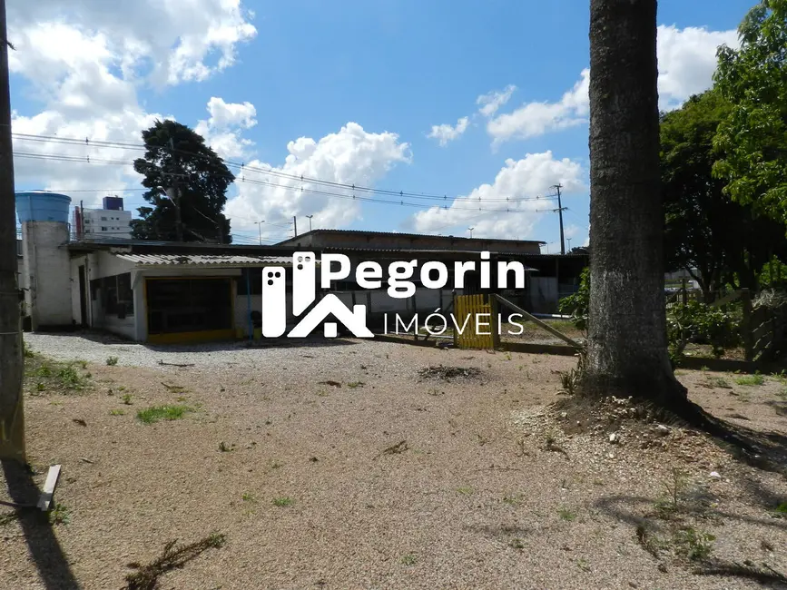 Terreno / Lote à venda, 10412m2 em Eucaliptos, Fazenda Rio Grande - PR - imagem 3 Foto 3 de Terreno / Lote à venda, 10412m2 em Eucaliptos, Fazenda Rio Grande - PR