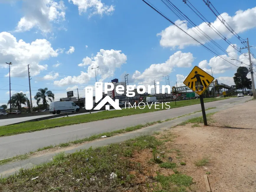 Terreno / Lote à venda, 10412m2 em Eucaliptos, Fazenda Rio Grande - PR - imagem 8 Foto 8 de Terreno / Lote à venda, 10412m2 em Eucaliptos, Fazenda Rio Grande - PR