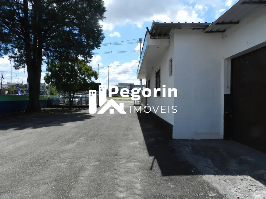 Terreno / Lote à venda, 10412m2 em Eucaliptos, Fazenda Rio Grande - PR - imagem 5 Foto 5 de Terreno / Lote à venda, 10412m2 em Eucaliptos, Fazenda Rio Grande - PR