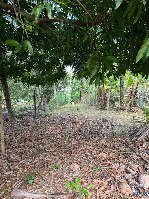 Terreno / Lote à venda, 1300m2 em Comunidade Urbana de Jaboti, Guarapari - ES - imagem 8 Foto 8 de Terreno / Lote à venda, 1300m2 em Comunidade Urbana de Jaboti, Guarapari - ES