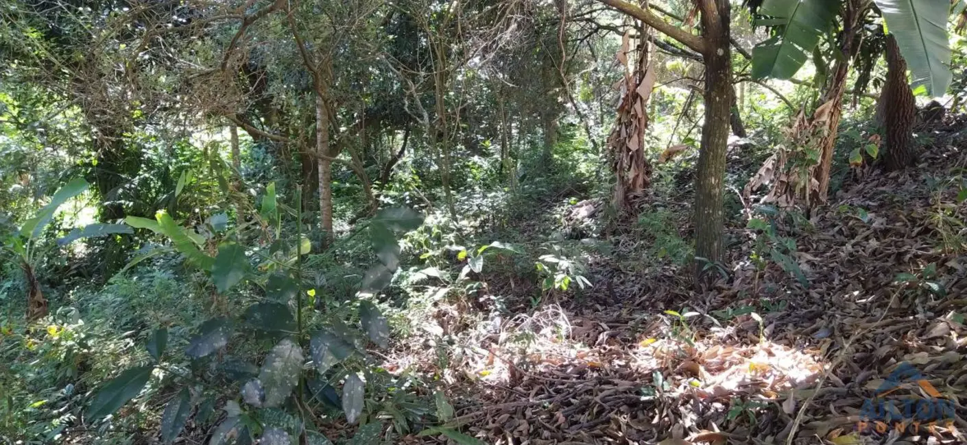 Foto 3 de Terreno / Lote à venda, 30m2 em Buenos Aires, Guarapari - ES