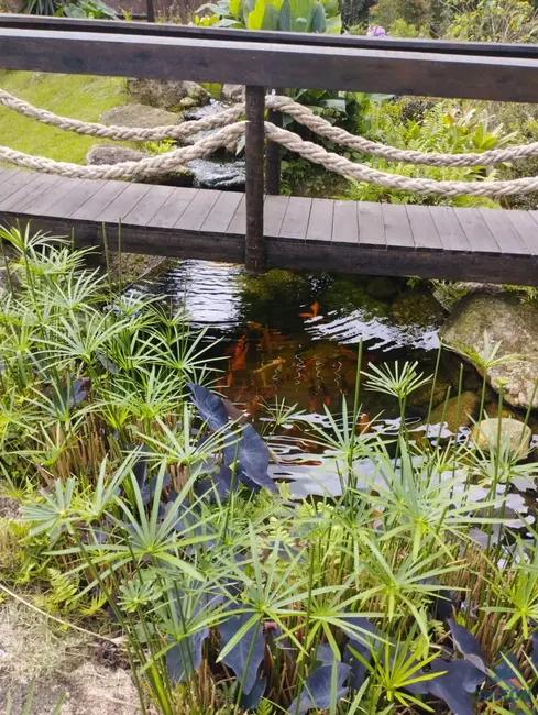 Fazenda / Haras com 3 quartos à venda, 20m2 em Buenos Aires, Guarapari - ES - imagem 9 Foto 9 de Fazenda / Haras com 3 quartos à venda, 20m2 em Buenos Aires, Guarapari - ES