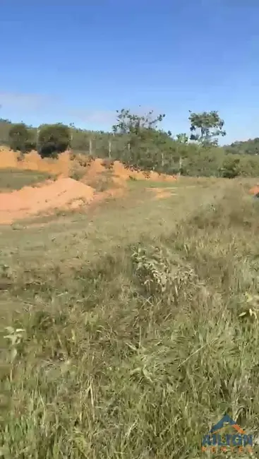 Terreno / Lote à venda, 4000m2 em Lameirão, Guarapari - ES - imagem 5 Foto 5 de Terreno / Lote à venda, 4000m2 em Lameirão, Guarapari - ES