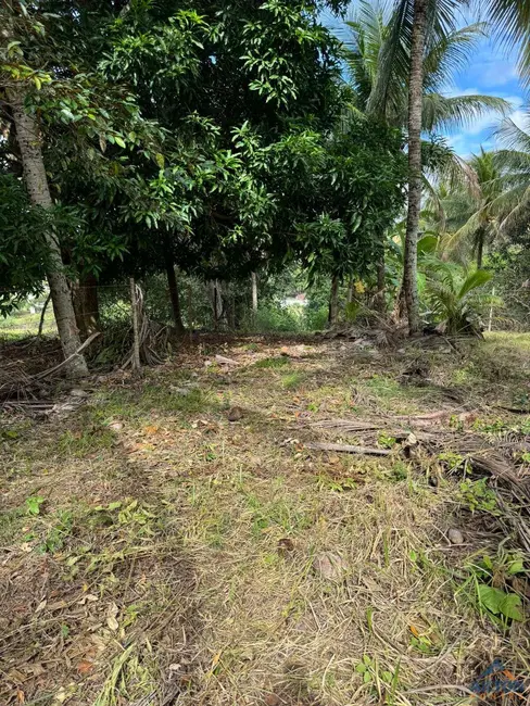 Chácara à venda, 1100m2 em Comunidade Urbana de Jaboti, Guarapari - ES - imagem 8 Foto 8 de Chácara à venda, 1100m2 em Comunidade Urbana de Jaboti, Guarapari - ES