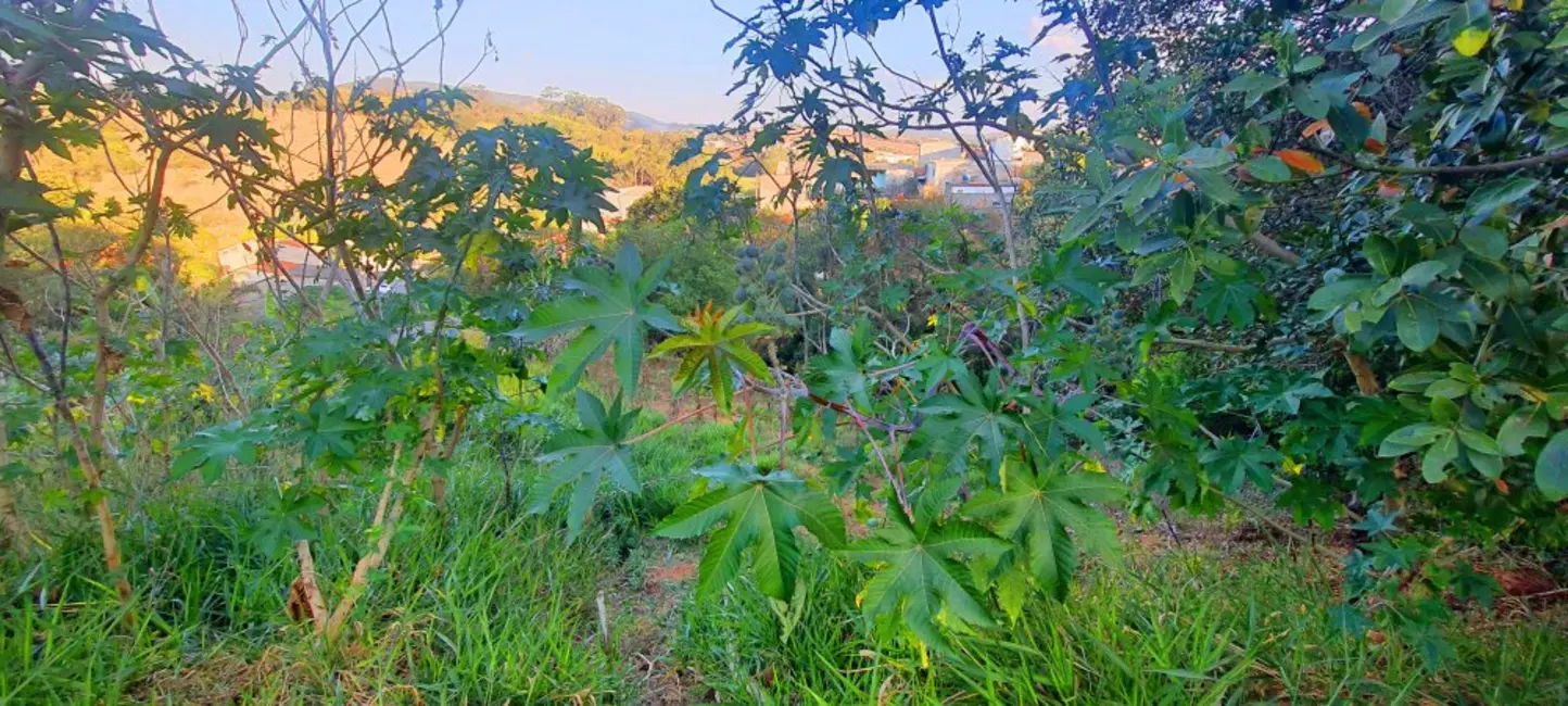 Foto 5 de Terreno / Lote à venda, 390m2 em Jardim Lago do Moinho, Braganca Paulista - SP