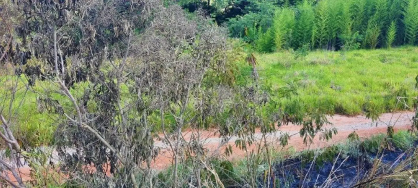 Foto 7 de Terreno / Lote à venda, 725m2 em Vila Santa Helena, Atibaia - SP