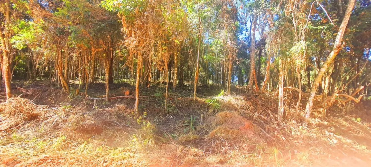 Foto 7 de Terreno / Lote à venda, 866m2 em Recanto dos Palmares, Atibaia - SP