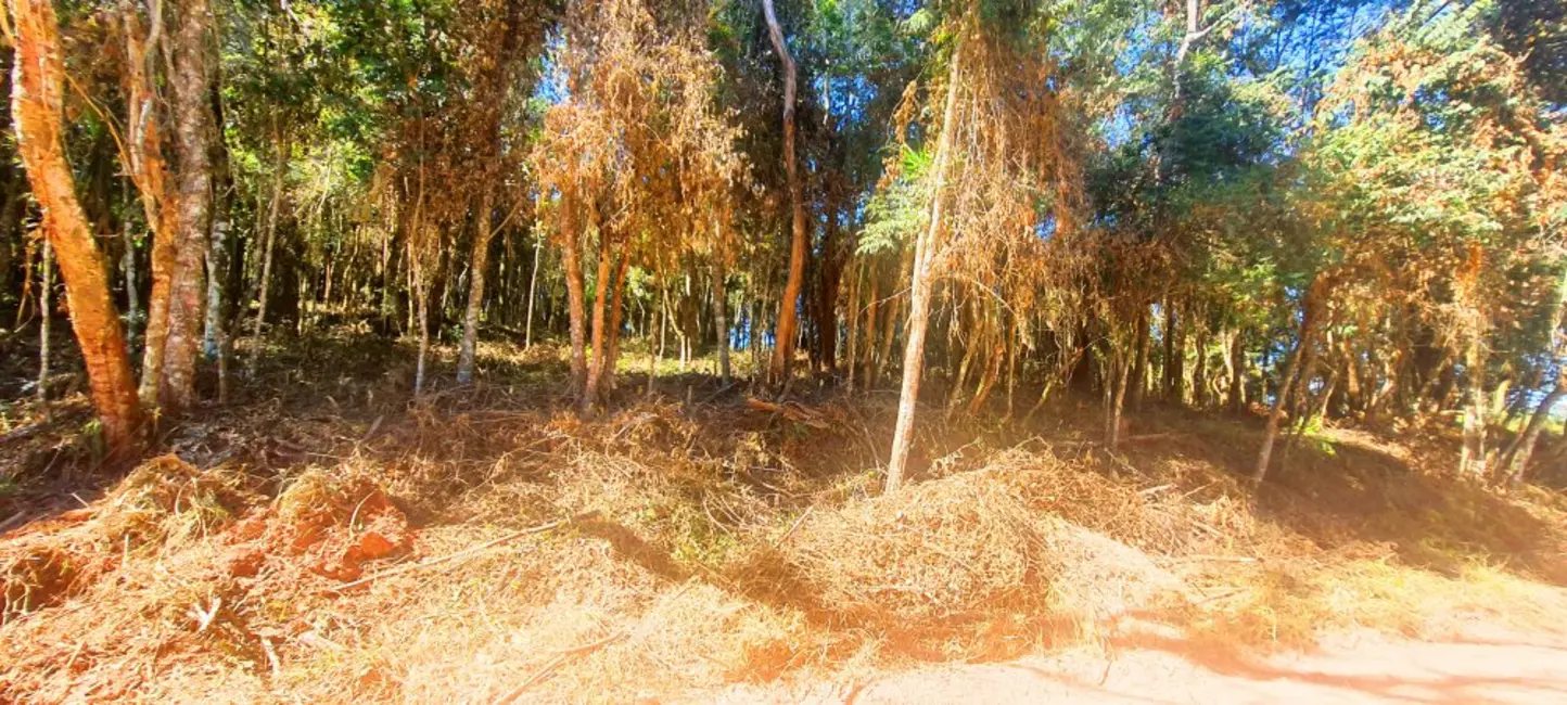Foto 6 de Terreno / Lote à venda, 866m2 em Recanto dos Palmares, Atibaia - SP