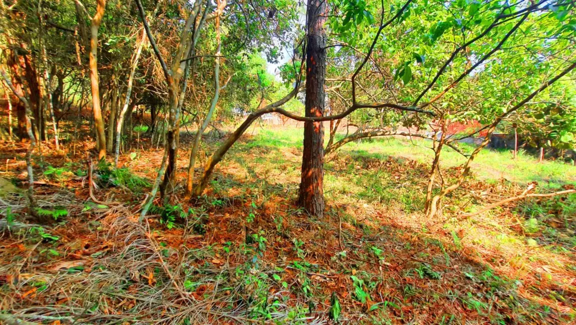 Foto 8 de Terreno / Lote à venda, 490m2 em Jardim Paulista, Atibaia - SP