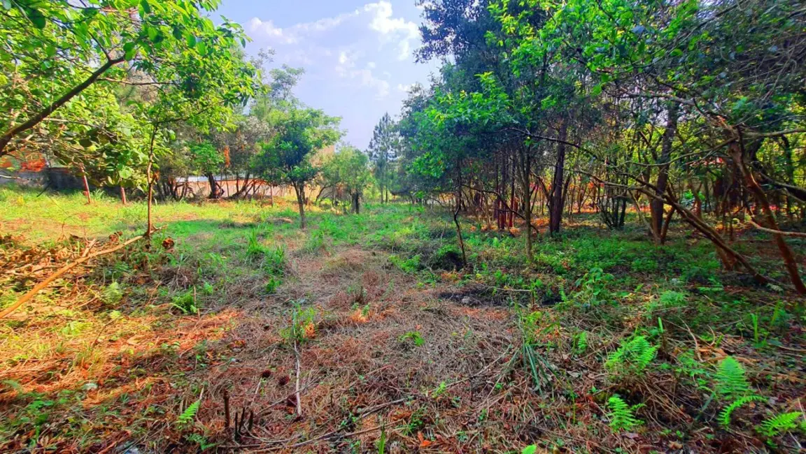 Foto 6 de Terreno / Lote à venda, 490m2 em Jardim Paulista, Atibaia - SP