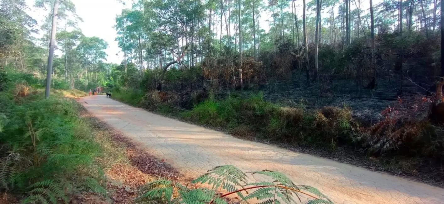 Foto 7 de Fazenda / Haras à venda, 266200m2 em Mairipora - SP