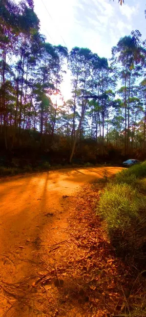 Foto 5 de Fazenda / Haras à venda, 266200m2 em Mairipora - SP