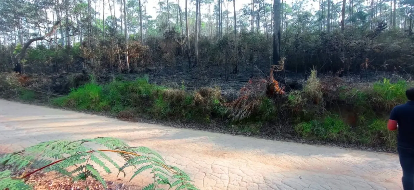Foto 9 de Fazenda / Haras à venda, 266200m2 em Mairipora - SP