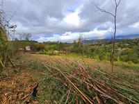 Imagem 8