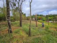Imagem 9