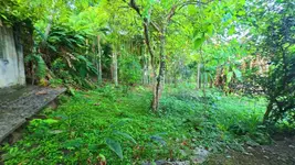 Imagem 15