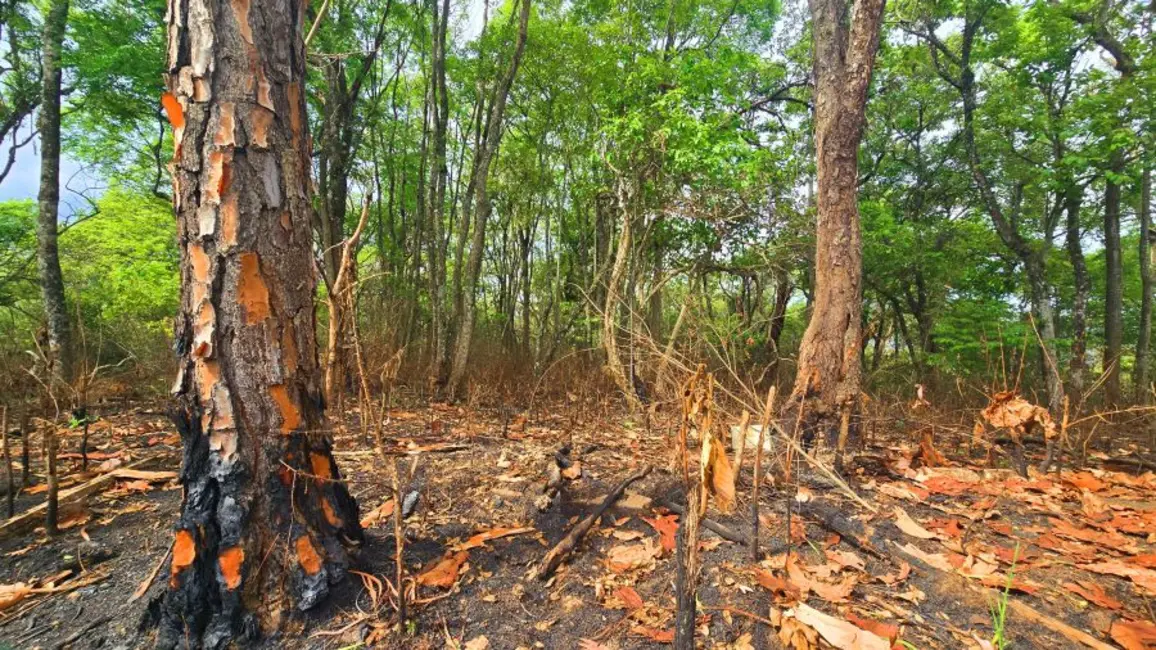 Foto 4 de Terreno / Lote à venda, 653m2 em Jardim Estância Brasil, Atibaia - SP