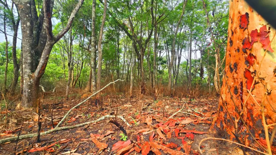 Foto 5 de Terreno / Lote à venda, 653m2 em Jardim Estância Brasil, Atibaia - SP