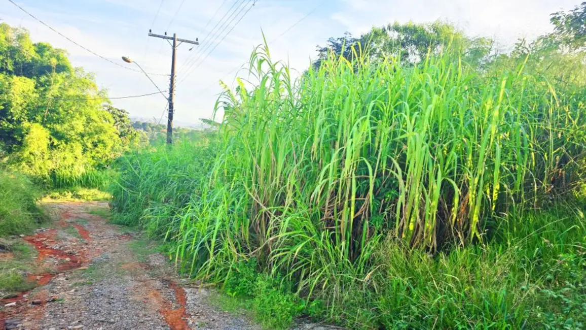 Terreno / Lote à venda, 250m2 em Colina Verde, Atibaia - SP - imagem 8 Foto 8 de Terreno / Lote à venda, 250m2 em Colina Verde, Atibaia - SP