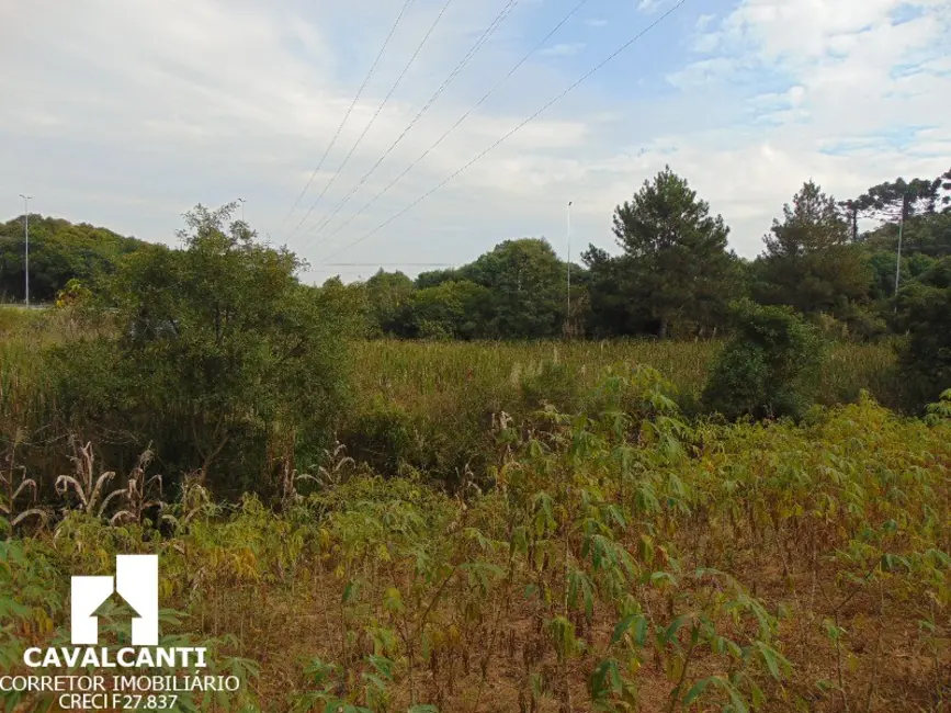 Terreno / Lote à venda, 12100m2 em Santo Antônio, Sao Jose Dos Pinhais - PR - imagem 5 Foto 5 de Terreno / Lote à venda, 12100m2 em Santo Antônio, Sao Jose Dos Pinhais - PR