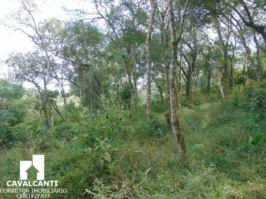 Terreno / Lote à venda, 12100m2 em Santo Antônio, Sao Jose Dos Pinhais - PR - imagem 3 Foto 3 de Terreno / Lote à venda, 12100m2 em Santo Antônio, Sao Jose Dos Pinhais - PR