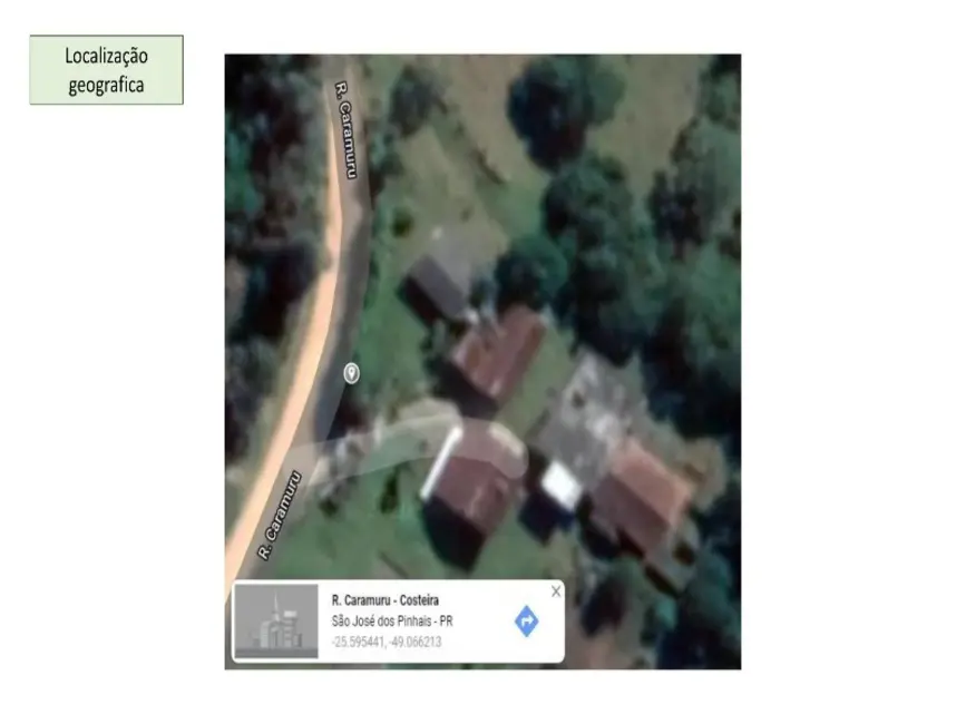 Chácara com 3 quartos à venda e para alugar, 166000m2 em Sao Jose Dos Pinhais - PR - imagem 4 Foto 4 de Chácara com 3 quartos à venda e para alugar, 166000m2 em Sao Jose Dos Pinhais - PR
