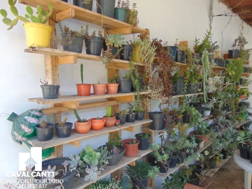 Foto 22 de Terreno / Lote com 3 quartos à venda, 162m2 em Iná, Sao Jose Dos Pinhais - PR