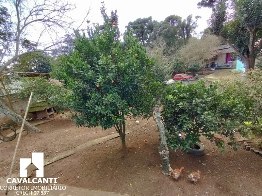 Foto 7 de Terreno / Lote à venda, 360m2 em Bom Jesus, Sao Jose Dos Pinhais - PR