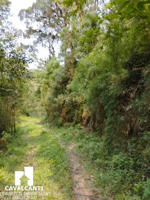 Chácara com 1 quarto à venda, 80m2 em Borda do Campo, Sao Jose Dos Pinhais - PR - imagem 5 Foto 5 de Chácara com 1 quarto à venda, 80m2 em Borda do Campo, Sao Jose Dos Pinhais - PR