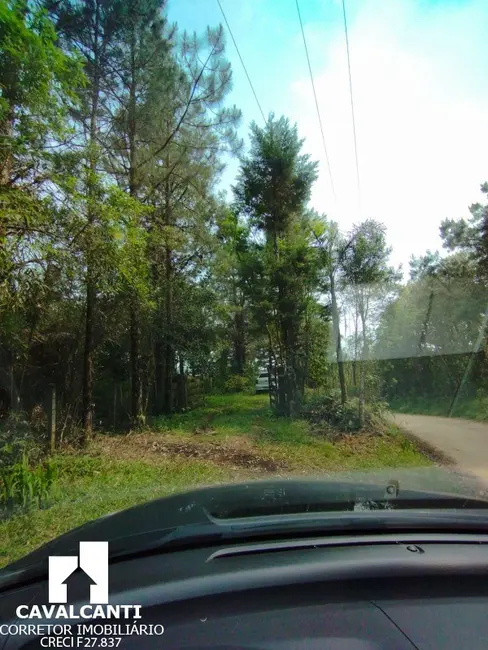 Chácara com 1 quarto à venda, 80m2 em Borda do Campo, Sao Jose Dos Pinhais - PR - imagem 3 Foto 3 de Chácara com 1 quarto à venda, 80m2 em Borda do Campo, Sao Jose Dos Pinhais - PR