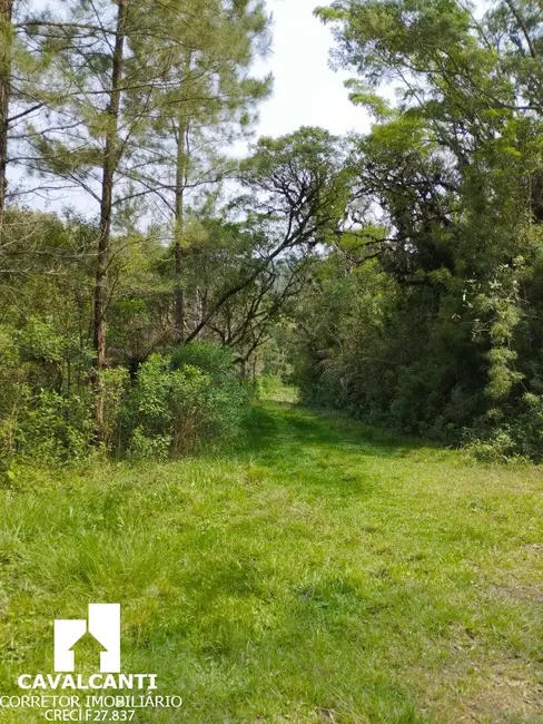Chácara com 1 quarto à venda, 80m2 em Borda do Campo, Sao Jose Dos Pinhais - PR - imagem 8 Foto 8 de Chácara com 1 quarto à venda, 80m2 em Borda do Campo, Sao Jose Dos Pinhais - PR