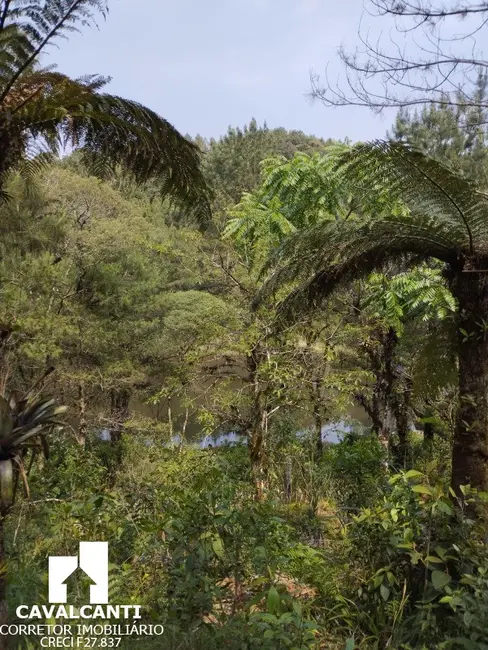 Chácara com 1 quarto à venda, 80m2 em Borda do Campo, Sao Jose Dos Pinhais - PR - imagem 9 Foto 9 de Chácara com 1 quarto à venda, 80m2 em Borda do Campo, Sao Jose Dos Pinhais - PR