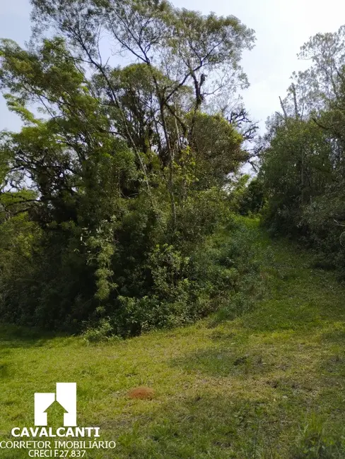 Chácara com 1 quarto à venda, 80m2 em Borda do Campo, Sao Jose Dos Pinhais - PR - imagem 7 Foto 7 de Chácara com 1 quarto à venda, 80m2 em Borda do Campo, Sao Jose Dos Pinhais - PR