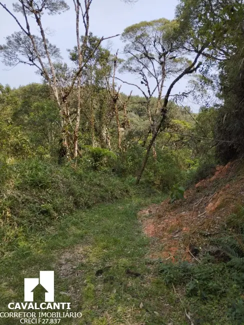 Chácara com 1 quarto à venda, 80m2 em Borda do Campo, Sao Jose Dos Pinhais - PR - imagem 6 Foto 6 de Chácara com 1 quarto à venda, 80m2 em Borda do Campo, Sao Jose Dos Pinhais - PR