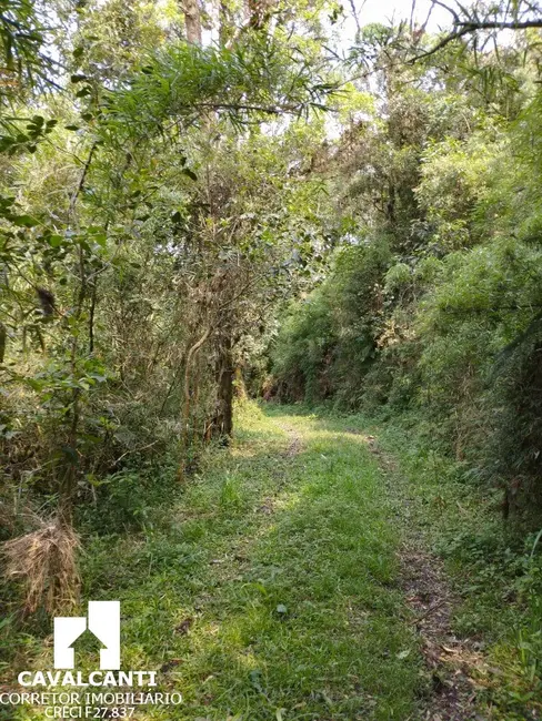 Chácara com 1 quarto à venda, 80m2 em Borda do Campo, Sao Jose Dos Pinhais - PR - imagem 4 Foto 4 de Chácara com 1 quarto à venda, 80m2 em Borda do Campo, Sao Jose Dos Pinhais - PR