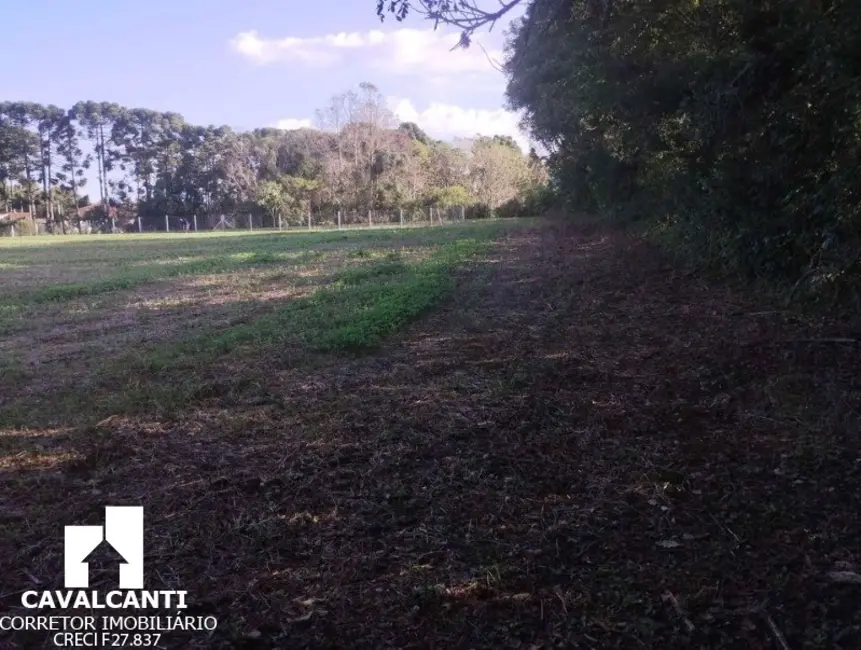 Chácara à venda, 11900m2 em Borda do Campo, Sao Jose Dos Pinhais - PR - imagem 3 Foto 3 de Chácara à venda, 11900m2 em Borda do Campo, Sao Jose Dos Pinhais - PR