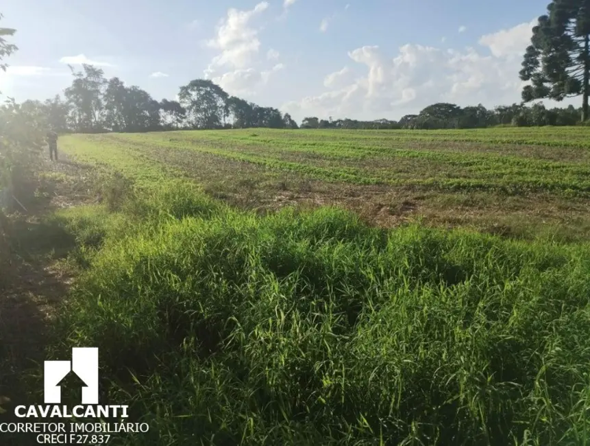 Chácara à venda, 11900m2 em Borda do Campo, Sao Jose Dos Pinhais - PR - imagem 6 Foto 6 de Chácara à venda, 11900m2 em Borda do Campo, Sao Jose Dos Pinhais - PR