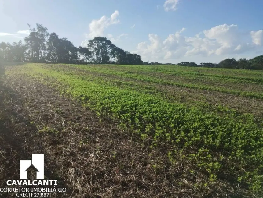 Chácara à venda, 11900m2 em Borda do Campo, Sao Jose Dos Pinhais - PR - imagem 7 Foto 7 de Chácara à venda, 11900m2 em Borda do Campo, Sao Jose Dos Pinhais - PR