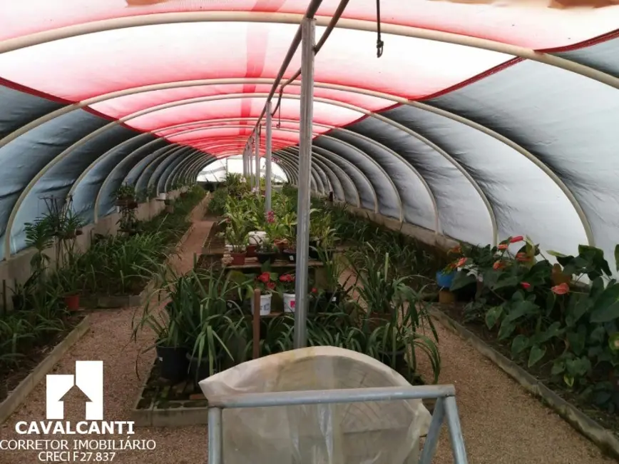 Chácara com 3 quartos à venda, 190m2 em Colônia Murici, Sao Jose Dos Pinhais - PR - imagem 9 Foto 9 de Chácara com 3 quartos à venda, 190m2 em Colônia Murici, Sao Jose Dos Pinhais - PR