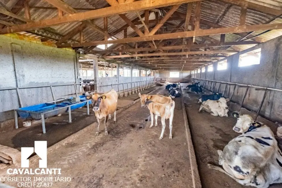 Chácara com 3 quartos à venda, 190m2 em Colônia Murici, Sao Jose Dos Pinhais - PR - imagem 7 Foto 7 de Chácara com 3 quartos à venda, 190m2 em Colônia Murici, Sao Jose Dos Pinhais - PR