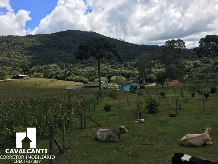 Sítio / Rancho à venda em Mandirituba - PR - imagem 3 Foto 3 de Sítio / Rancho à venda em Mandirituba - PR