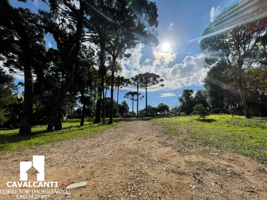 Foto 7 de Terreno / Lote à venda, 7679m2 em Itália, Sao Jose Dos Pinhais - PR