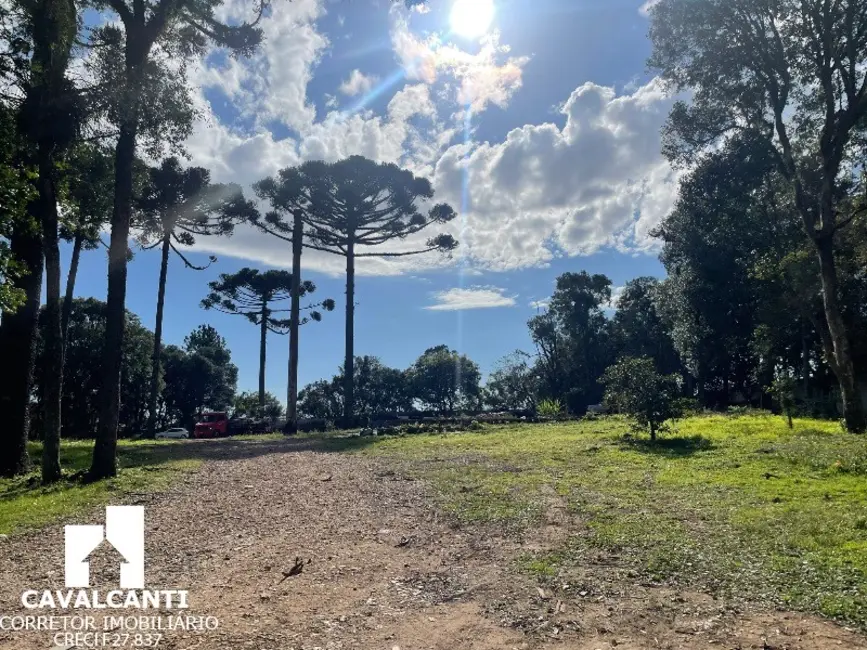 Foto 9 de Terreno / Lote à venda, 7679m2 em Itália, Sao Jose Dos Pinhais - PR