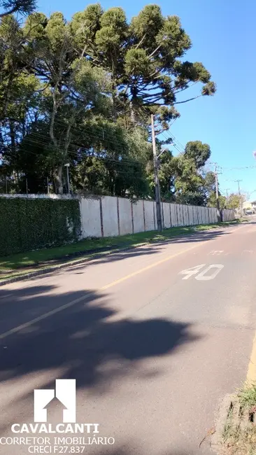 Terreno / Lote à venda, 7679m2 em Itália, Sao Jose Dos Pinhais - PR - imagem 5 Foto 5 de Terreno / Lote à venda, 7679m2 em Itália, Sao Jose Dos Pinhais - PR
